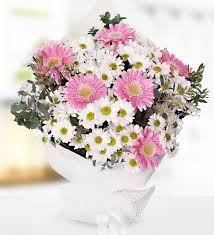 Papatya & Gerbera