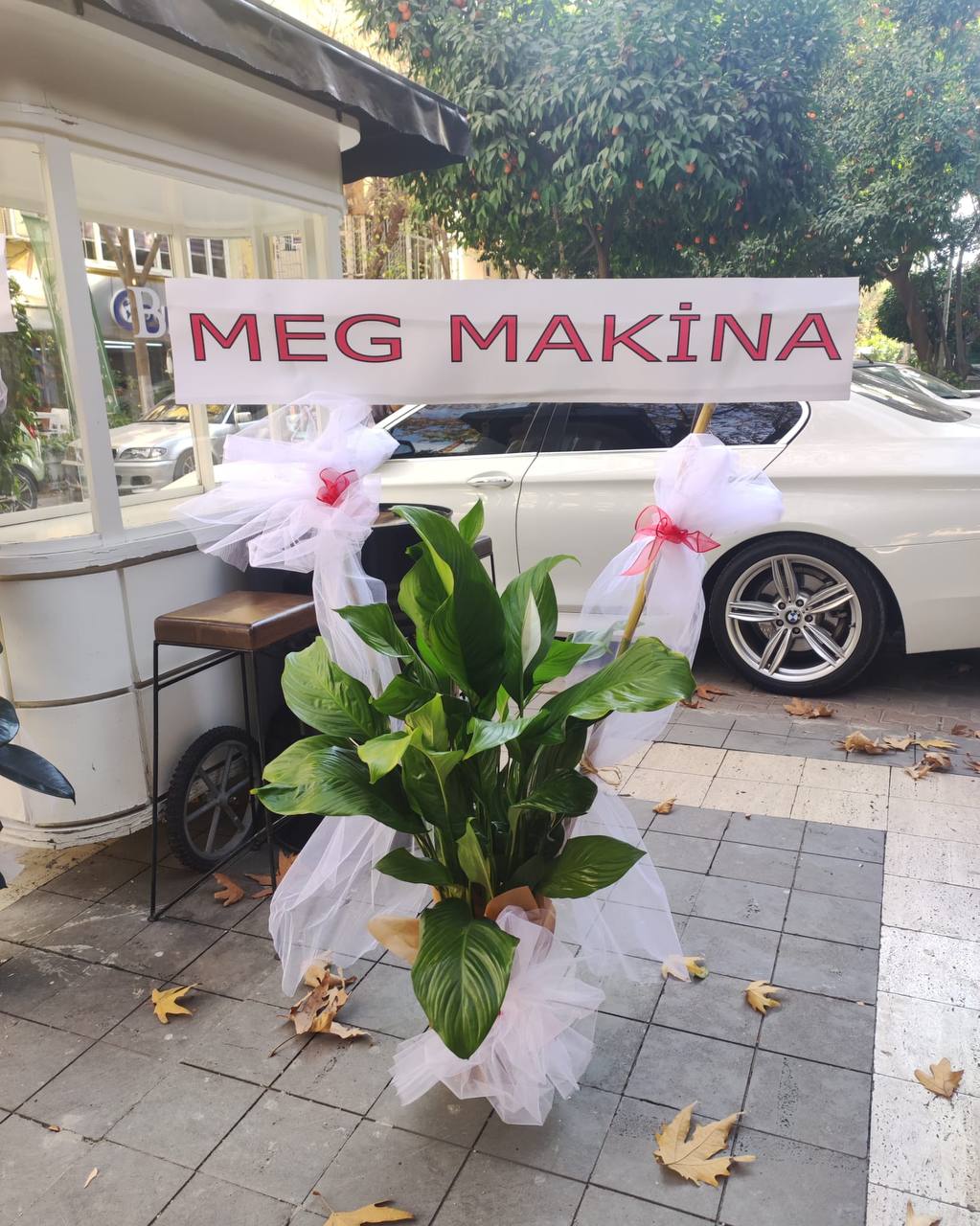 Barış Çiçeği
